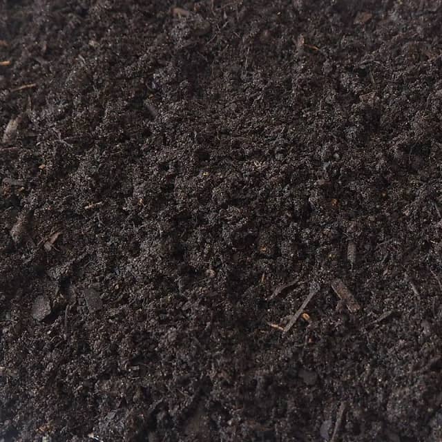 Compost